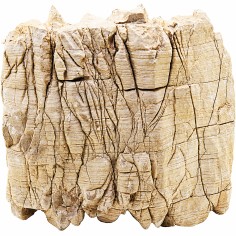 Whimar Sand Rock Drawing Foto Reale Misure 19x13x17h peso 5,69kg Cod. SRD01 2