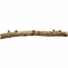 Decorline Tiny Ramous misure 36X6X4h Foto Reale cod.EW09