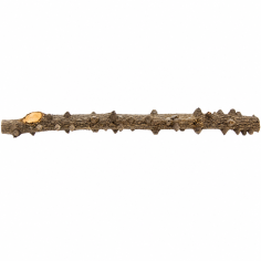 Decorline Tiny Ramous misure 40x3x3h Foto Reale cod.EW07