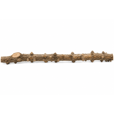 Decorline Tiny Ramous misure 47X5X8h Foto Reale cod.EW06