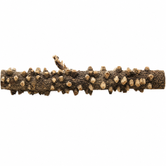 Decorline Tiny Ramous misure 36x9x7h Foto Reale cod.EW01