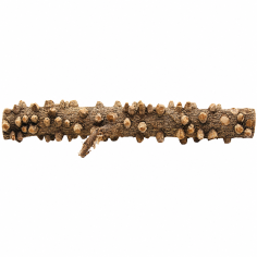 Decorline Tiny Ramous misure 36x9x7h Foto Reale cod.EW01 2