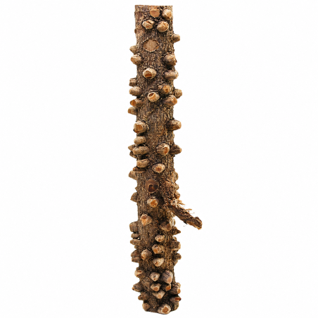 Decorline Tiny Ramous misure 36x9x7h Foto Reale cod.EW01 Decorline Tiny Ramous misure 36x9x7h Foto Reale cod.EW01