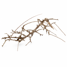 Decorline Tiny Ramous misure 27x32x8h Foto Reale cod.TR09
