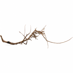 Decorline Tiny Ramous misure 27x32x8h Foto Reale cod.TR09 2