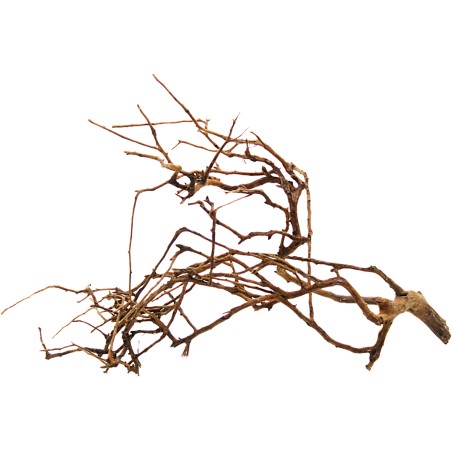 Decorline Tiny Ramous misure 41x38x13h Foto Reale cod.TR07 Decorline Tiny Ramous misure 41x38x13h Foto Reale cod.TR07