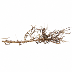 Decorline Tiny Ramous misure 43x21x9h Foto Reale cod.TR06 2
