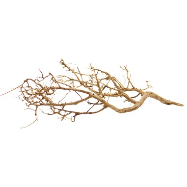 Decorline Tiny Ramous misure 47x44x19h Foto Reale cod.TR05