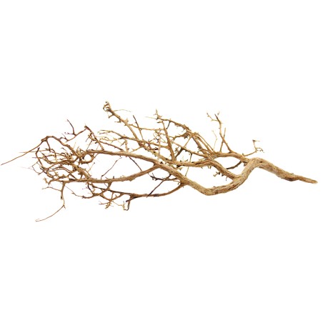 Decorline Tiny Ramous misure 47x44x19h Foto Reale cod.TR05 Decorline Tiny Ramous misure 47x44x19h Foto Reale cod.TR05
