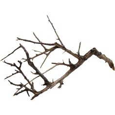 Decorline Tiny Ramous misure 15x9x7h Foto Reale cod.TR04