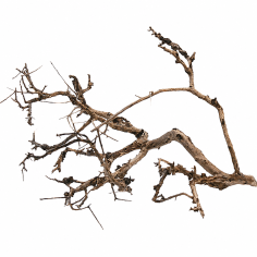 Decorline Tiny Ramous misure 45x35x27h Foto Reale cod.TR03
