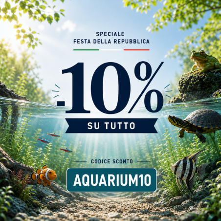 Promo Giugno 2026 - Condizioni di vendita