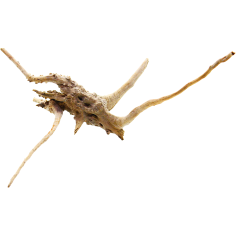 Decorline Spider Wood misure cm25x23x8h Foto Reale cod.SP07