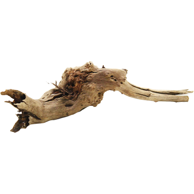 Decorline Spider Wood misure cm25x23x8h Foto Reale cod.SP07