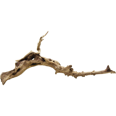 Decorline Spider Wood misure cm19x6x6h Foto Reale cod.SP08
