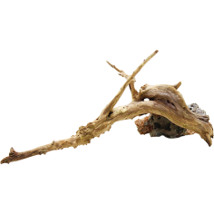 Decorline Spider Wood misure cm19x6x6h Foto Reale cod.SP08 2
