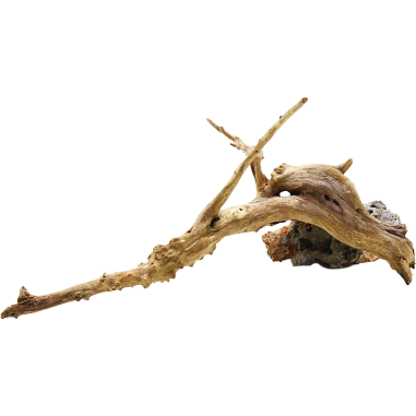 Decorline Spider Wood misure cm19x6x6h Foto Reale cod.SP08