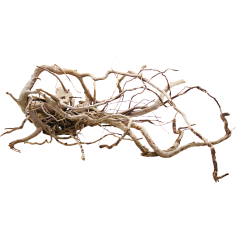 Decorline Spider Wood misure cm73x44x24h Foto Reale cod.SP111