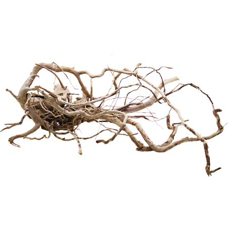 Decorline Spider Wood misure cm73x44x24h Foto Reale cod.SP111