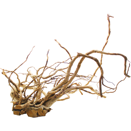 Decorline Spider Wood misure cm73x44x24h Foto Reale cod.SP111 Decorline Spider Wood misure cm73x44x24h Foto Reale cod.SP111