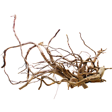 Decorline Spider Wood misure cm73x44x24h Foto Reale cod.SP111