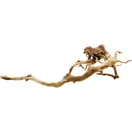 Decorline Spider Wood misure cm43x45X13hh Foto Reale cod.SP99