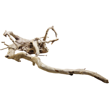 Decorline Spider Wood misure cm43x45X13hh Foto Reale cod.SP99