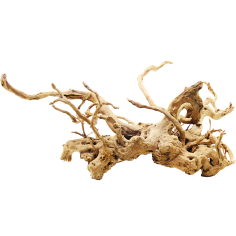Decorline Spider Wood misure cm52x28x35h Foto Reale cod.SP98