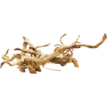 Decorline Spider Wood misure cm52x28x35h Foto Reale cod.SP98