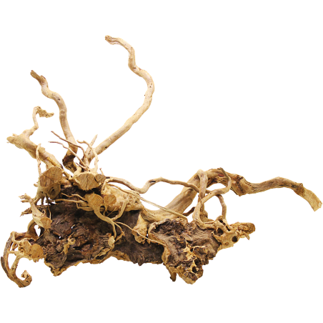 Decorline Spider Wood misure cm52x28x35h Foto Reale cod.SP98