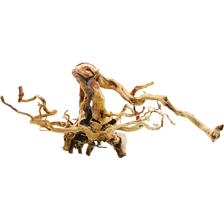 Decorline Spider Wood misure cm60x50x28h Foto Reale cod.SP97