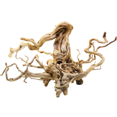 Decorline Spider Wood misure cm60x50x28h Foto Reale cod.SP97