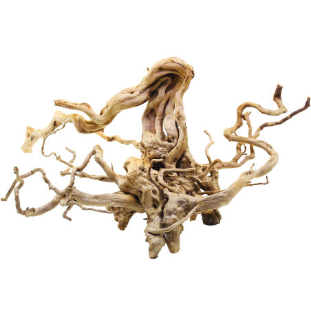 Decorline Spider Wood misure cm60x50x28h Foto Reale cod.SP97