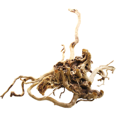 Decorline Spider Wood misure cm60x50x28h Foto Reale cod.SP97 2