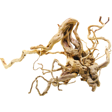 Decorline Spider Wood misure cm60x50x28h Foto Reale cod.SP97