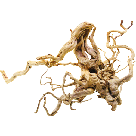 Decorline Spider Wood misure cm60x50x28h Foto Reale cod.SP97
