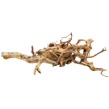 Decorline Spider Wood misure cm53x23x22h Foto Reale cod.SP96