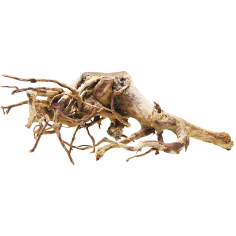 Decorline Spider Wood misure cm53x23x22h Foto Reale cod.SP96 2