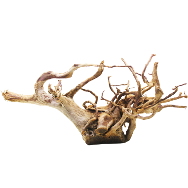 Decorline Spider Wood misure cm53x23x22h Foto Reale cod.SP96