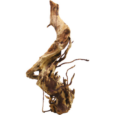 Decorline Spider Wood misure cm14x9x30h Foto Reale cod.SP94