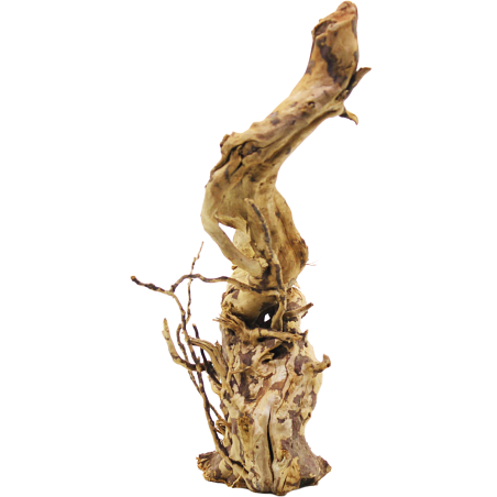Decorline Spider Wood misure cm14x9x30h Foto Reale cod.SP94