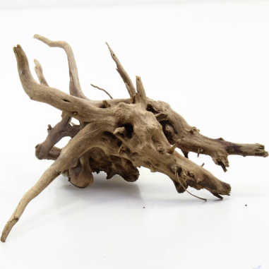 Decorline Spider Wood misure cm14x14x7h Foto Reale cod.SP93