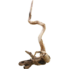 Decorline Spider Wood misure cm15x25x29h Foto Reale cod.SP92 2