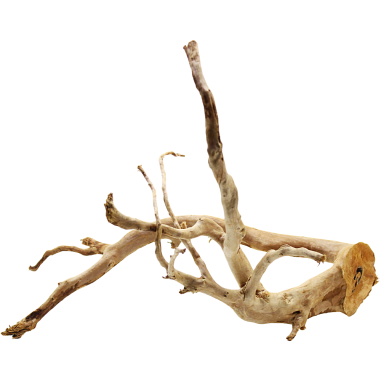 Decorline Spider Wood misure cm36x29x28h Foto Reale cod.SP91