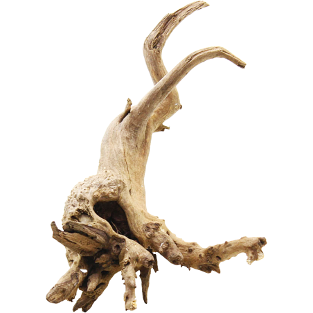 Decorline Spider Wood misure cm20x11x12 Foto Reale cod.SP100 Decorline Spider Wood misure cm20x11x12 Foto Reale cod.SP100