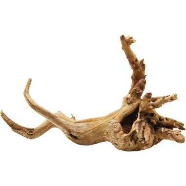 Decorline Spider Wood misure cm20x11x12 Foto Reale cod.SP100