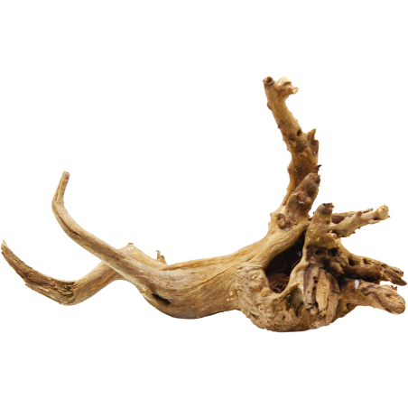 Decorline Spider Wood misure cm20x11x12 Foto Reale cod.SP100
