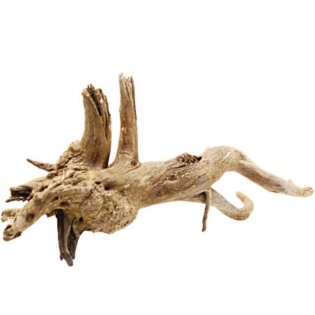 Decorline Spider Wood misure cm20x11x12 Foto Reale cod.SP100 Decorline Spider Wood misure cm20x11x12 Foto Reale cod.SP100