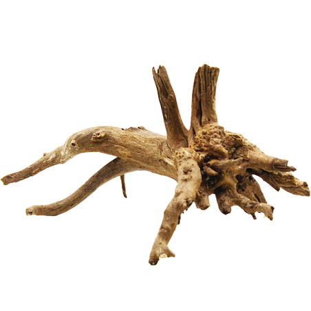 Decorline Spider Wood misure cm20x11x12 Foto Reale cod.SP100 Decorline Spider Wood misure cm20x11x12 Foto Reale cod.SP100