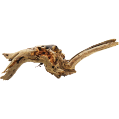 Decorline Spider Wood misure cm20x10x5h Foto Reale cod.SP09